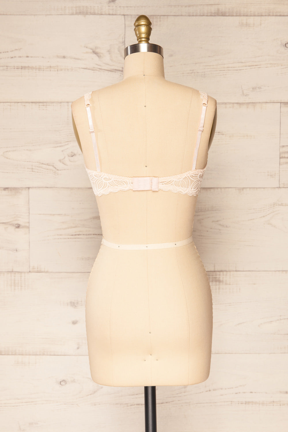 Silvesse Pink Translucent Lace Bralette | La petite garçonne back view