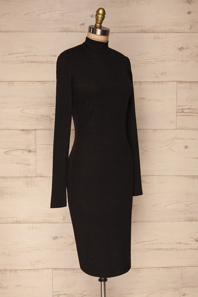 Solesmes Black Mock Neck Dress | Robe | La Petite Garçonne side view