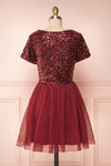 Sydalie Rouge Burgundy Sequin A-Line Party Dress back view | Boutique 1861