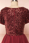 Sydalie Rouge | Burgundy Sequin Dress