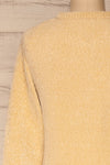 Talsi Beige Velvet Knit Sweater | La petite garçonne back close-up
