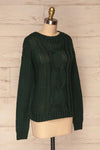 Temerin Pine Green Knit Sweater | Tricot | La Petite Garçonne side view