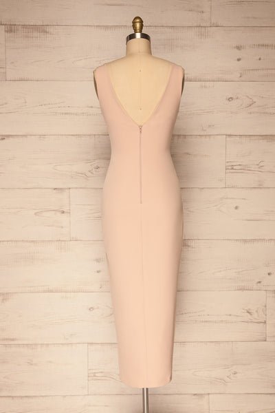 Tivoli Blush Pink V-Neck Midi Dress | La petite garçonne  back view