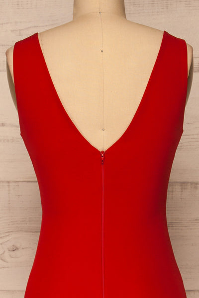 Tivoli Red V-Neck Midi Dress | La petite garçonne  back close-up