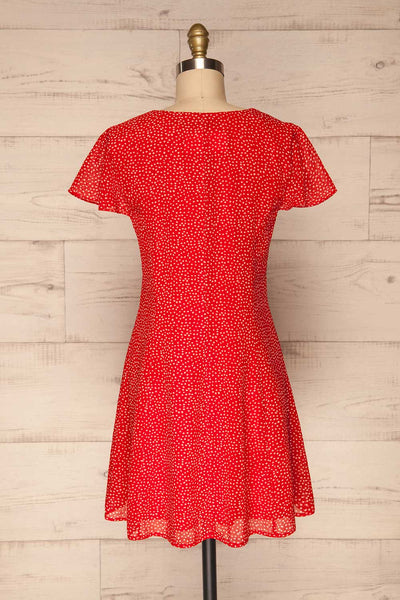 Valkyrie Red Polka Dot Short Dress | La petite garçonne  back view