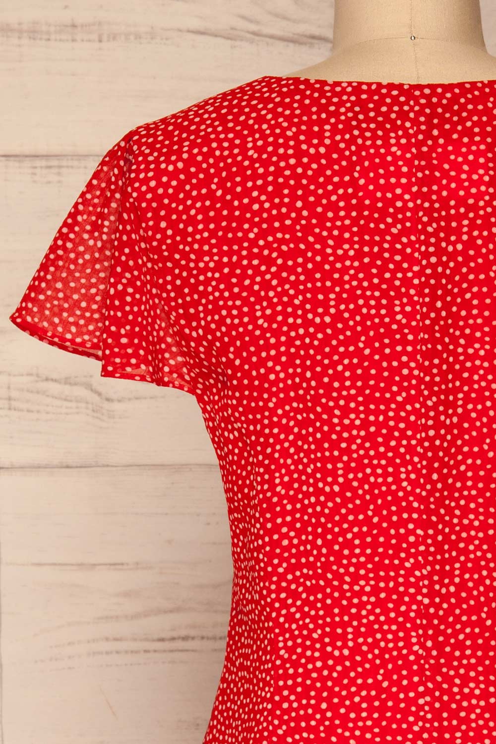 Valkyrie Red Polka Dot Short Dress | La petite garçonne  back close-up