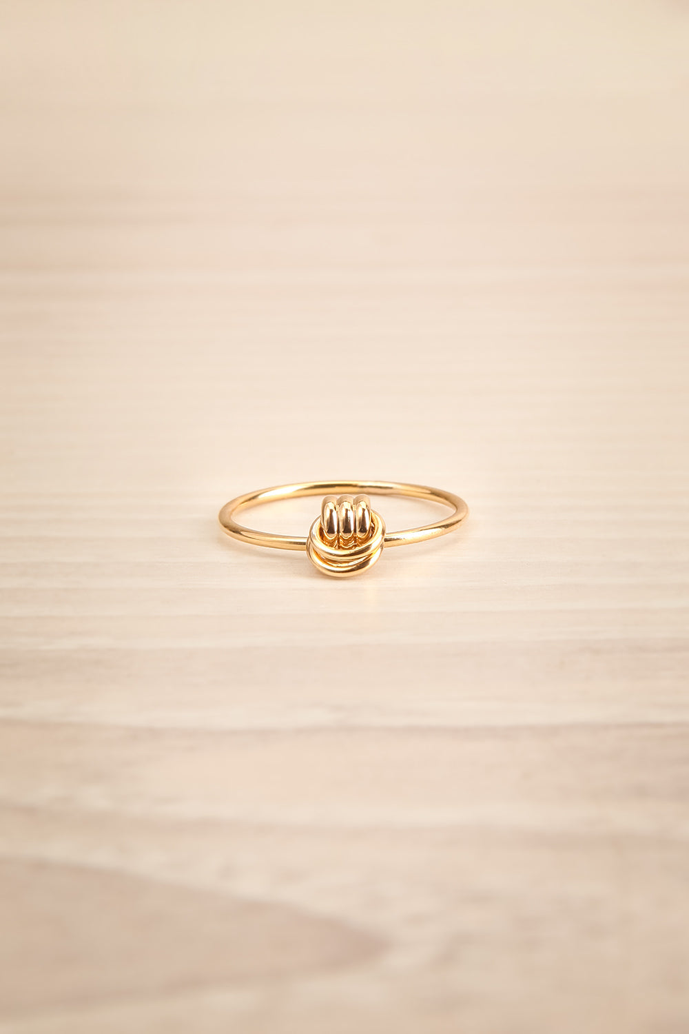 Abditum Golden Minimalist Ring w Decorative Hoops | La Petite Garçonne 1