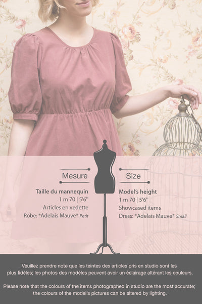 Adelais Mauve Corduroy A-Line Short Dress | Boutique 1861 fiche