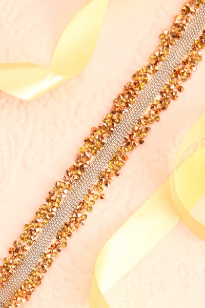 Alfifa Or Golden Yellow Ribbon Belt with Crystals | Boudoir 1861 flat close-up