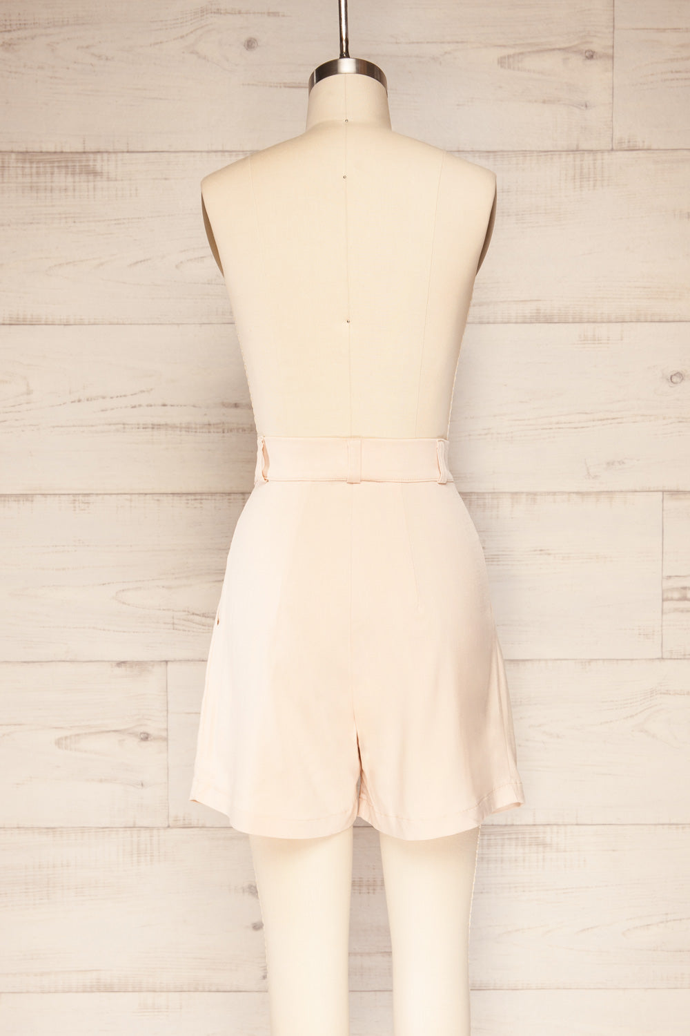 Alici Blush Pleated High Waist Shorts | La petite garçonne back view