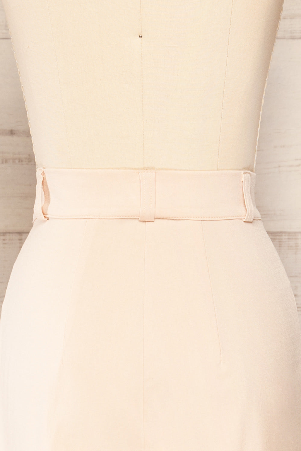 Alici Blush Pleated High Waist Shorts | La petite garçonne back close up