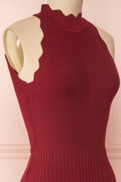 Allegorie Burgundy Knit A-Line Dress | Boutique 1861 side close-up