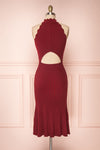 Allegorie Burgundy Knit A-Line Dress | Boutique 1861 back view