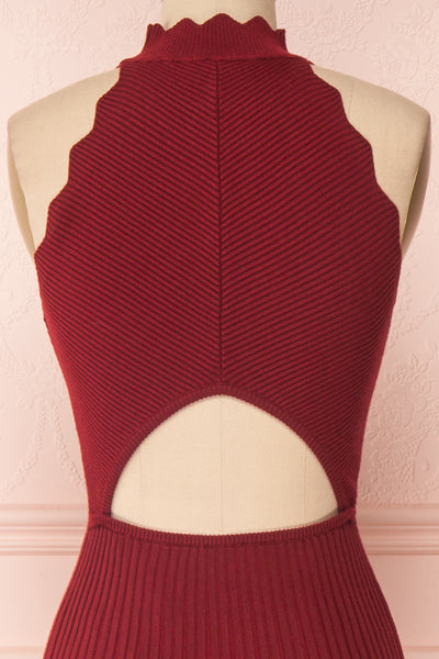 Allegorie Burgundy Knit A-Line Dress | Boutique 1861 back close-up