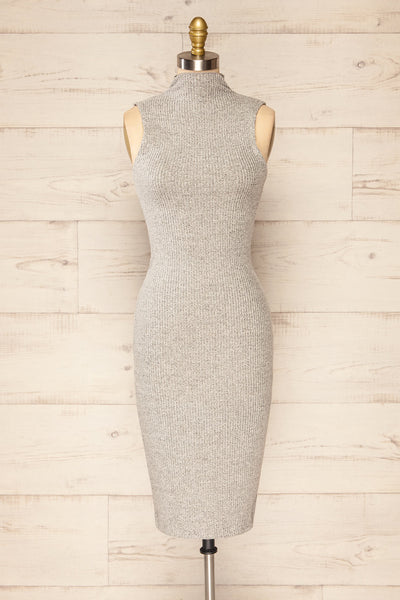 Alvarus Grey Sleeveless Fitted Midi Dress | La petite garçonne front view