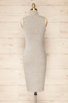 Alvarus Grey Sleeveless Fitted Midi Dress | La petite garçonne back view