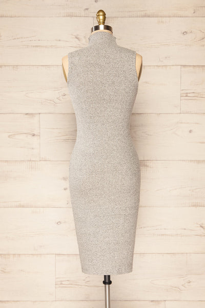 Alvarus Grey Sleeveless Fitted Midi Dress | La petite garçonne back view
