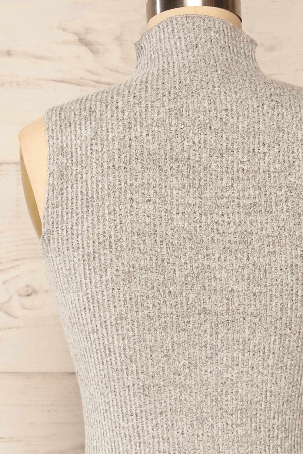Alvarus Grey Sleeveless Fitted Midi Dress | La petite garçonne back close-up