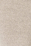 Alvarus Grey Sleeveless Fitted Midi Dress | La petite garçonne fabric