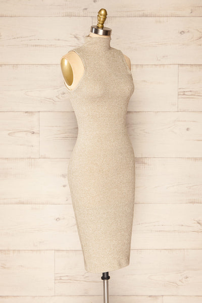 Alvarus Sand Sleeveless Fitted Midi Dress | La petite garçonne side view