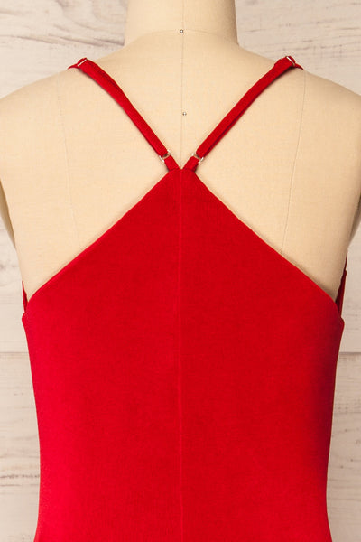 Ardoz Red Shimmery Midi Dress w/ Cowl Neck | La petite garçonne back close-up