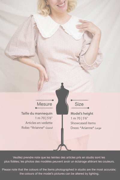Arianne Pink & White Puffy Sleeve Gingham Short Dress | Boutique 1861 fiche
