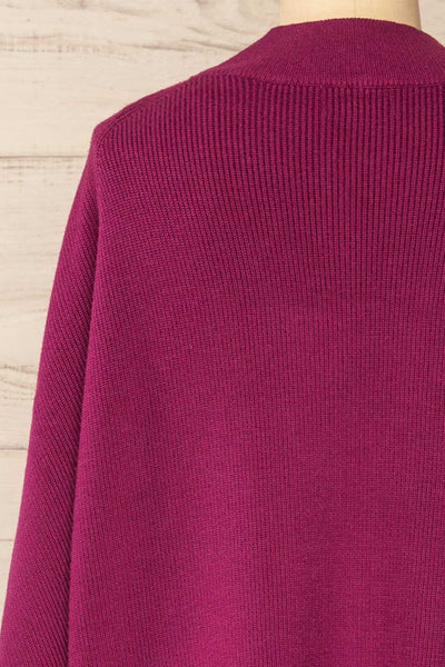 Arrecife Burgundy Knit Sweater Dress | La petite garçonne back close-up