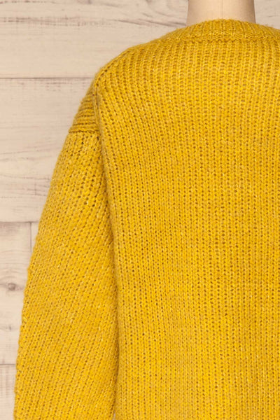 Balchik Yellow Knit Sweater | La Petite Garçonne back close-up