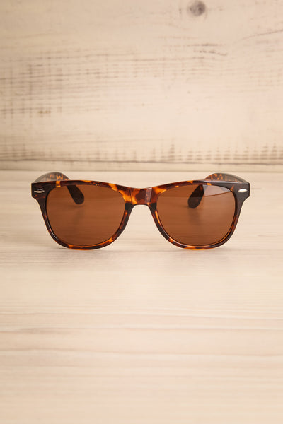 Balsalita Brown Wayfarer Sunglasses | La Petite Garçonne 1