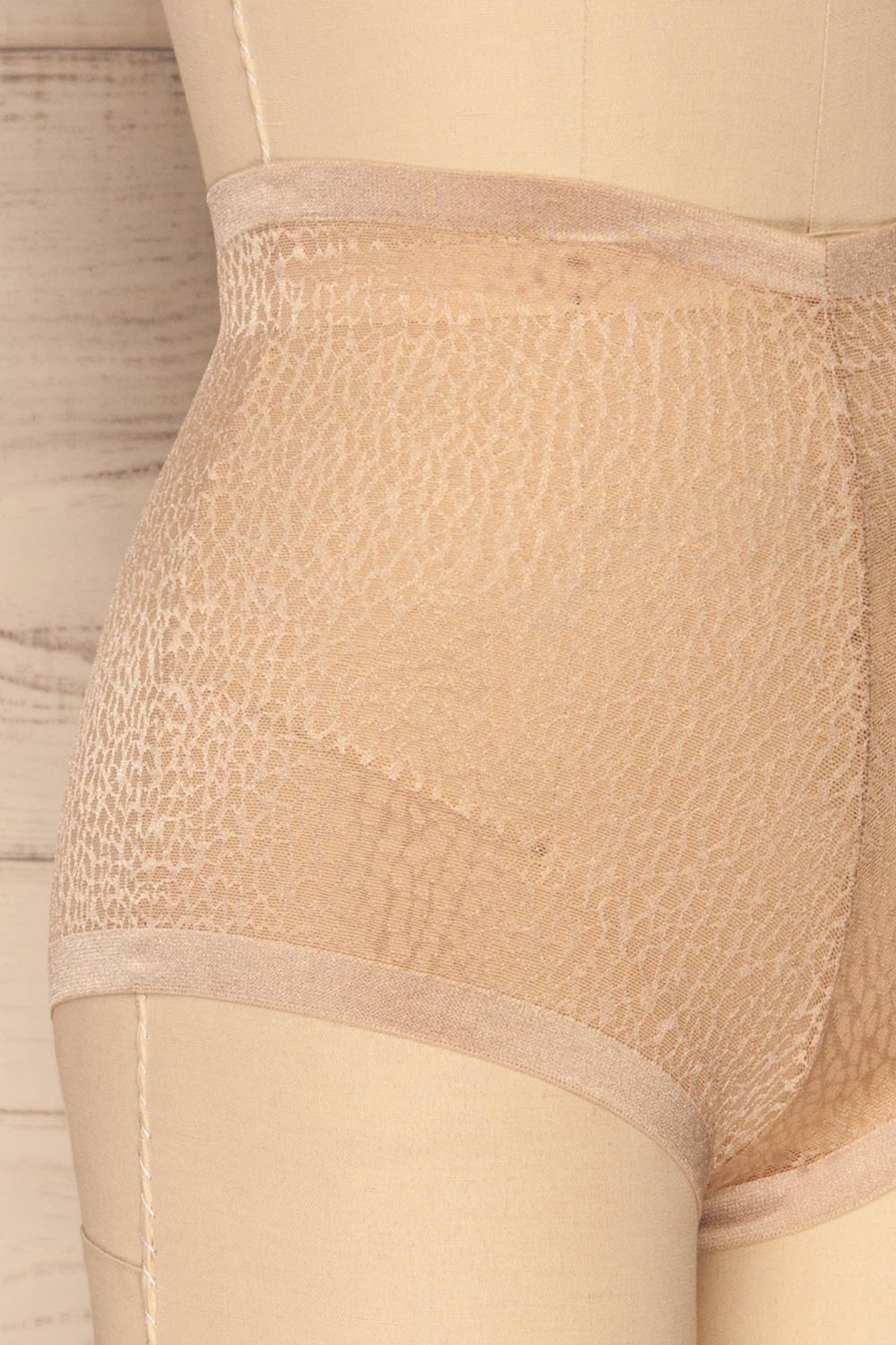 Becca Gold Mesh Panty | La Petite Garçonne Chpt. 2 side close-up