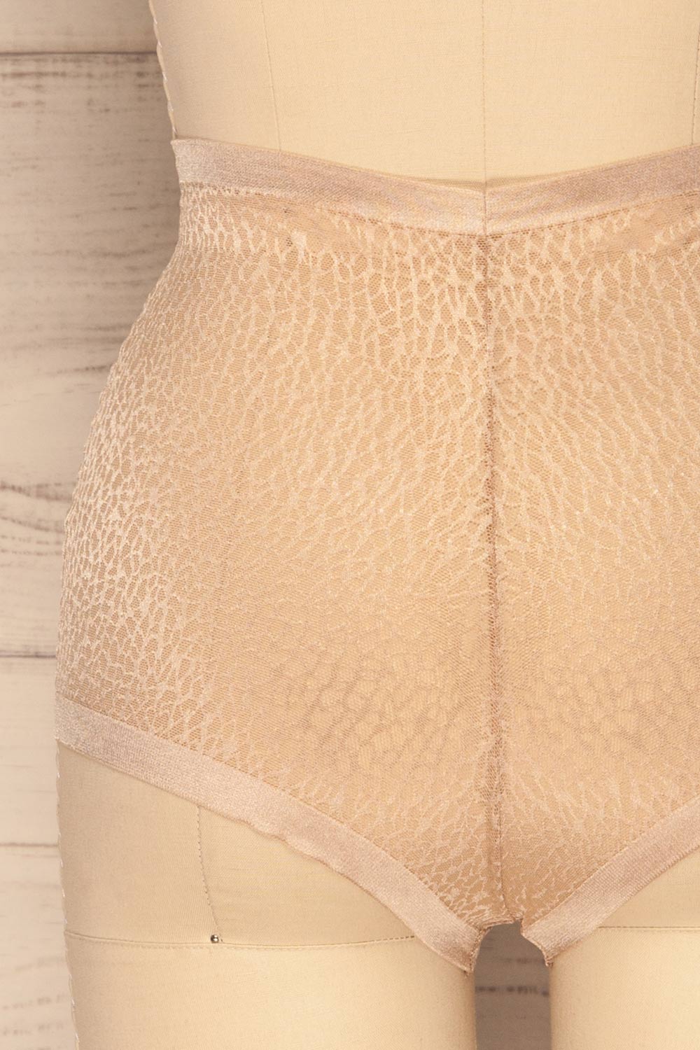 Becca Gold Mesh Panty | La Petite Garçonne Chpt. 2 back close-up