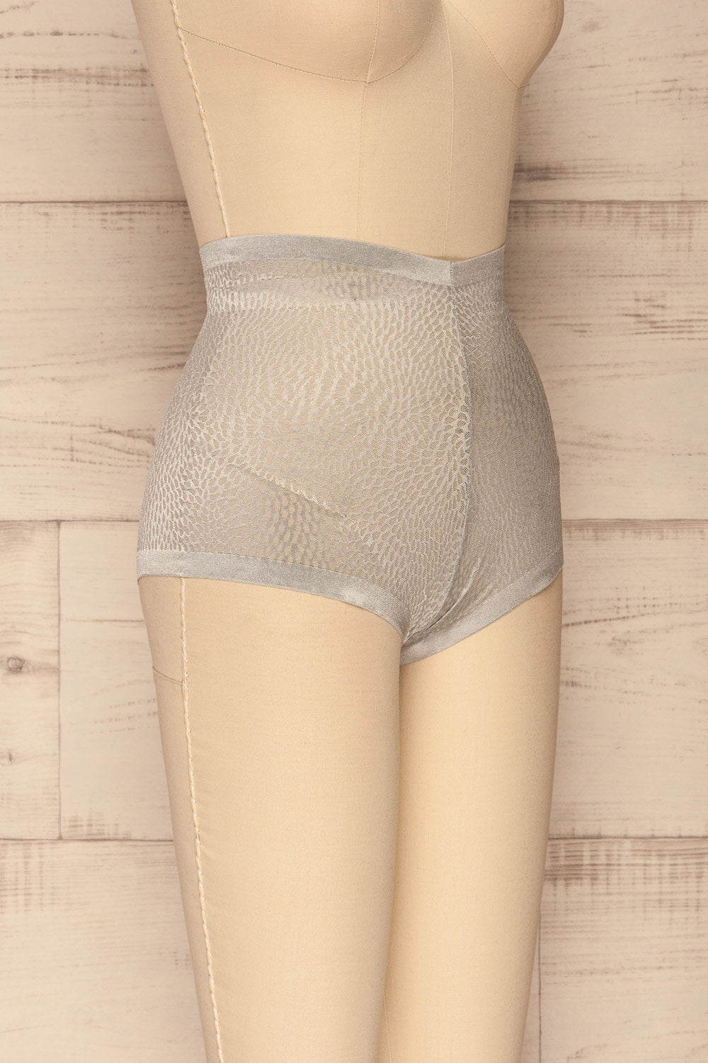 Becca Silver Blue Mesh Panty | La Petite Garçonne Chpt. 2 side view 