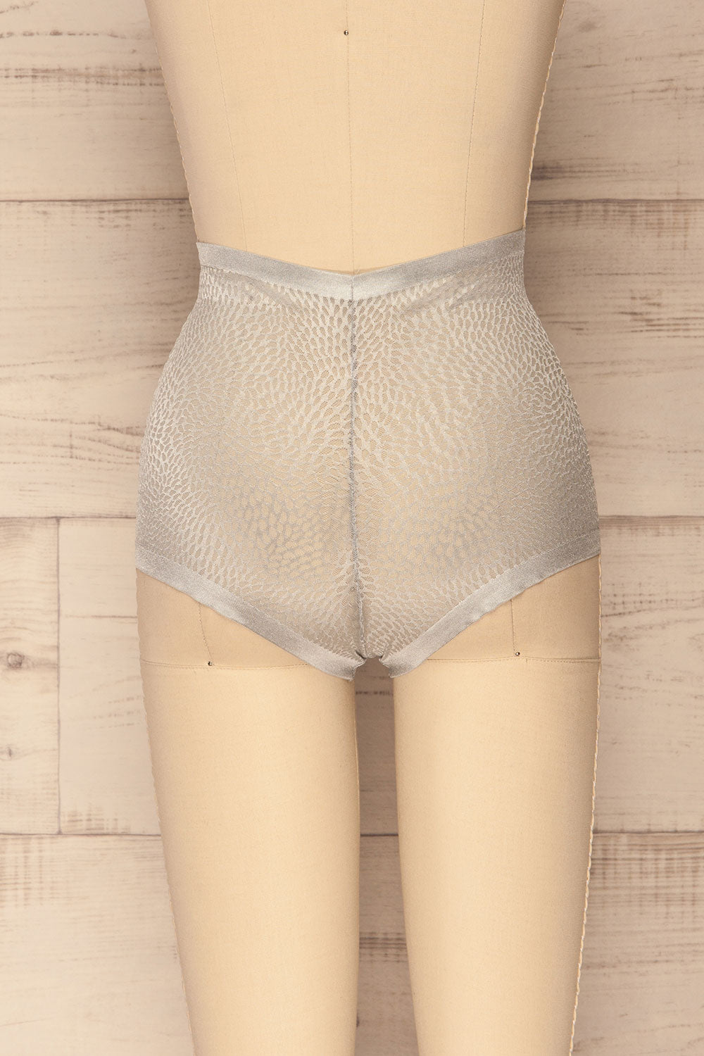 Becca Silver Blue Mesh Panty | La Petite Garçonne Chpt. 2 back view 