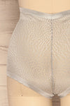 Becca Silver Blue Mesh Panty | La Petite Garçonne Chpt. 2 back close-up