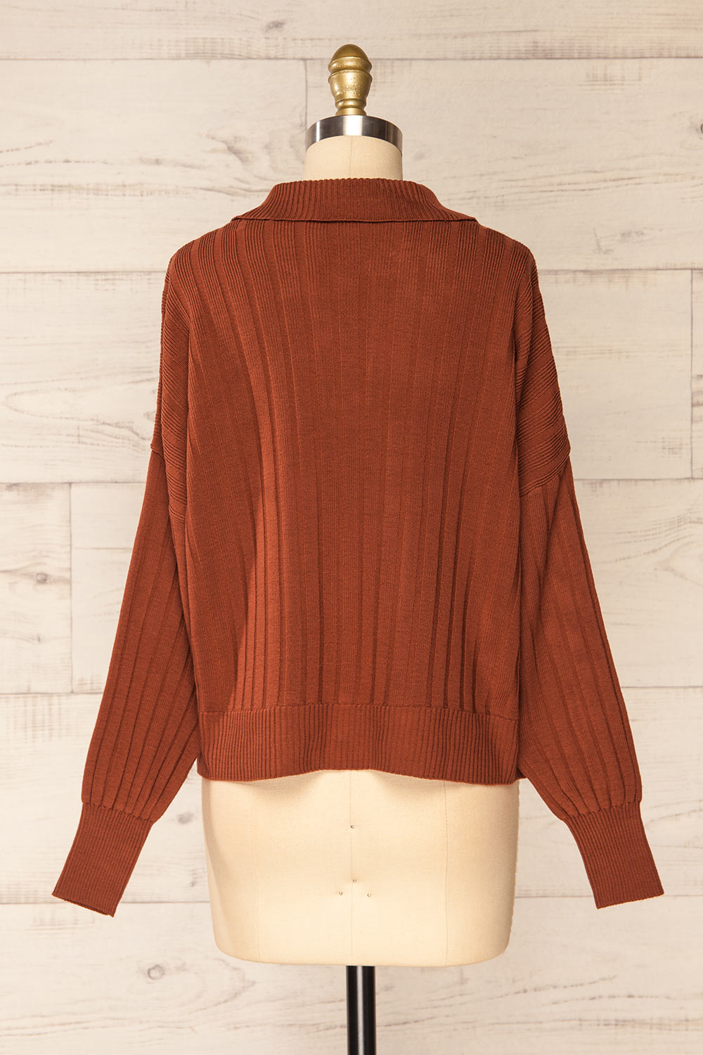 Beluth Rust Collared Long Sleeve Top | La petite garçonne back view