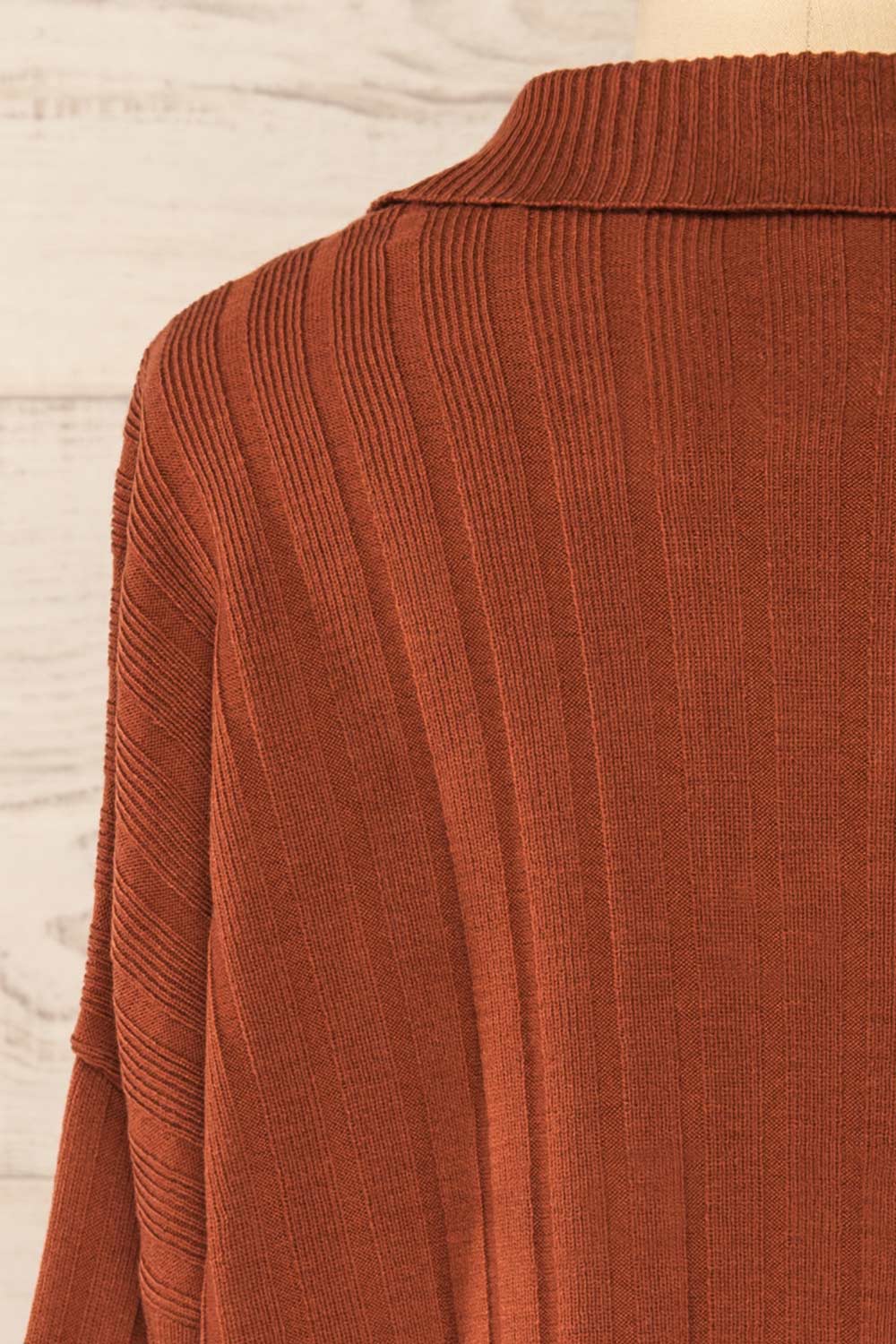 Beluth Rust Collared Long Sleeve Top | La petite garçonne back close-up