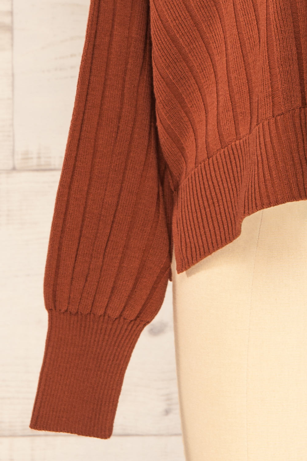 Beluth Rust Collared Long Sleeve Top | La petite garçonne bottom 