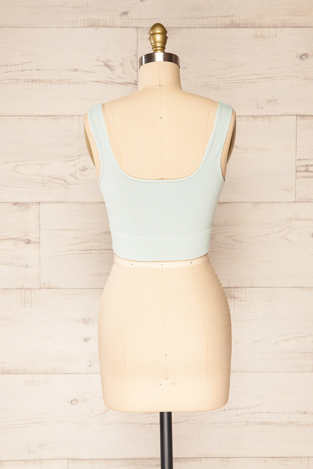 Bely Aqua Stretchable Cropped Cami | La petite garçonne back view 