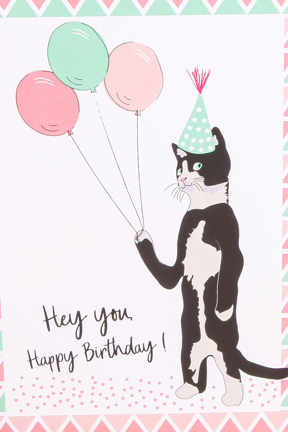 Birthday Cat Card | La Petite Garçonne Chpt. 2 2