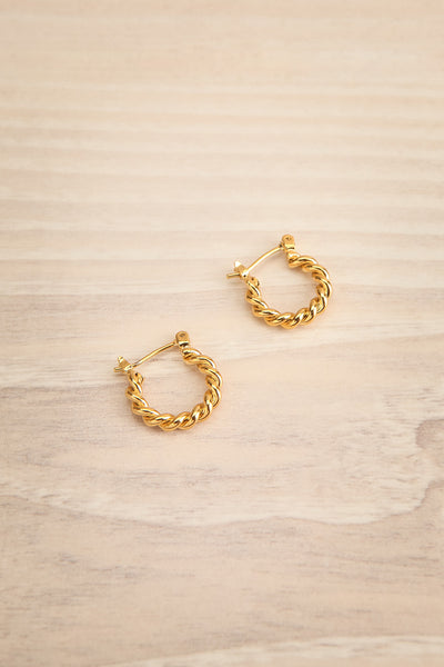 Borth Gold Small Twisted Hoop Earrings | La petite garçonne
