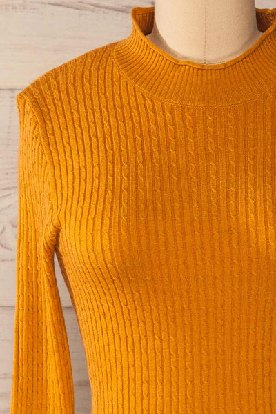 Braga Yellow Ribbed Fitted Mock Neck Top | La petite garçonne front close-up