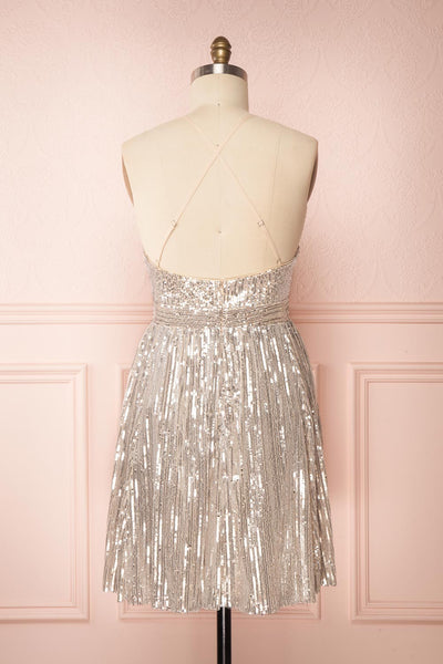 Brigitte Silver Plus Size Party Dress | Robe | Boutique 1861 back view