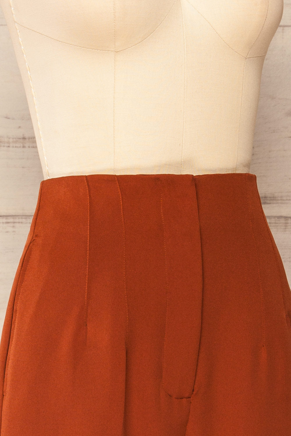 Bustranden Rust Fitted High-Waisted Pants | La petite garçonne side close-up