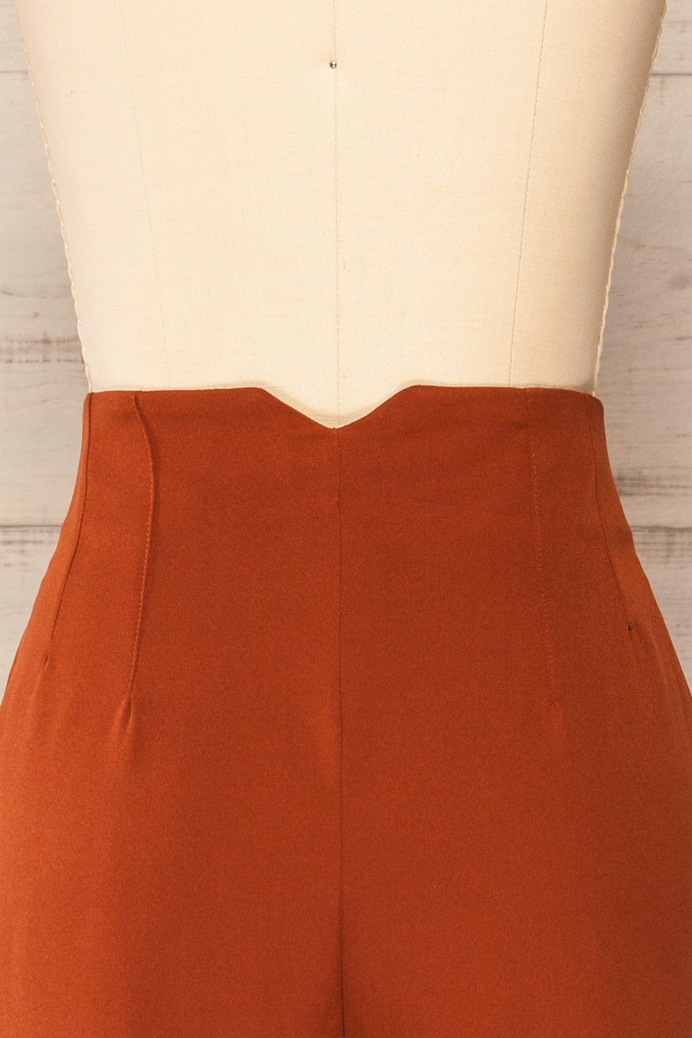 Bustranden Rust Fitted High-Waisted Pants | La petite garçonne back close-up