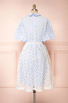 Calaeno White & Blue Openwork Lace Collared Dress | Boutique 1861 back view