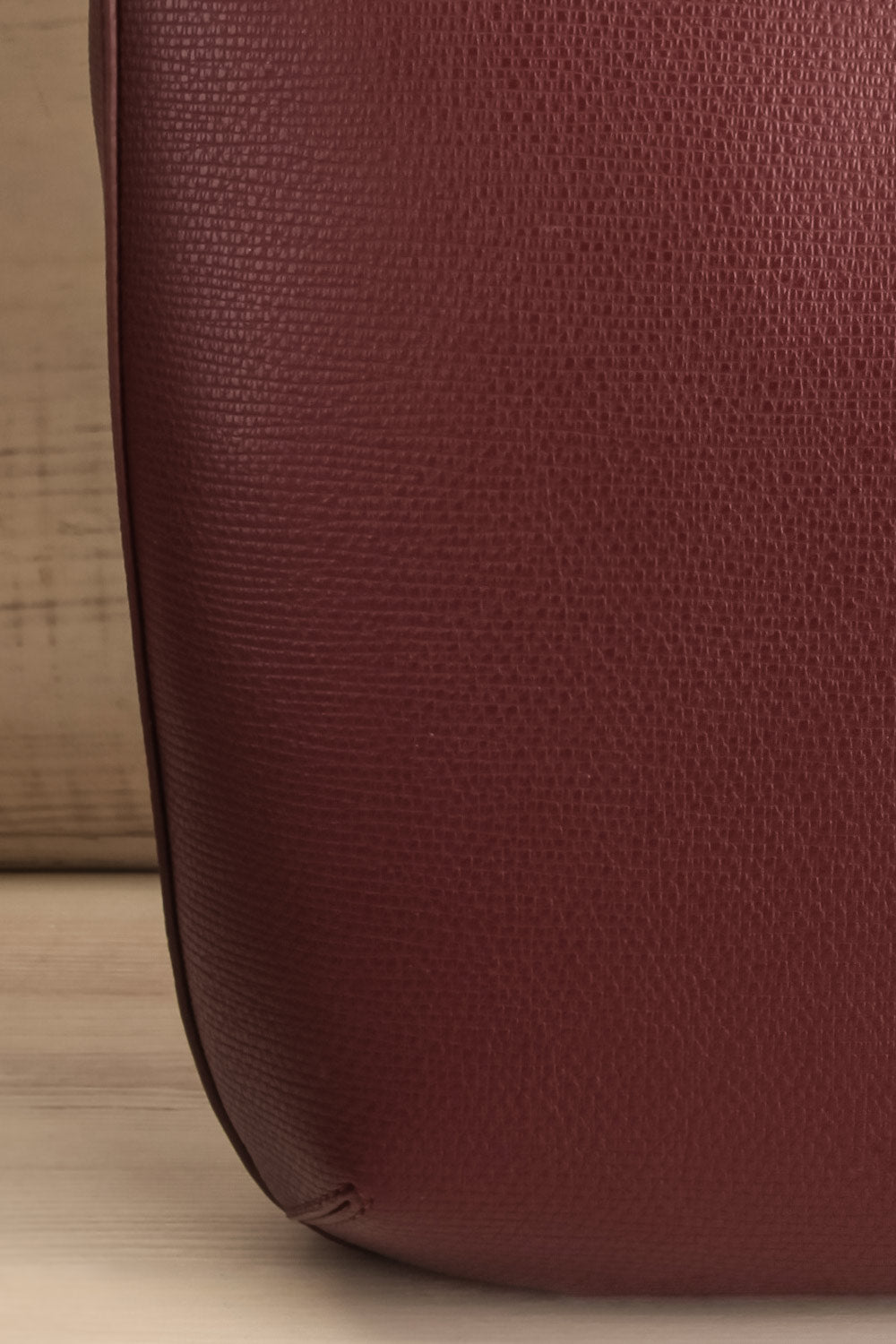 Centaurus Vegan Leather Backpack | La petite garçonne texture