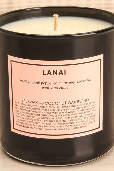 Chandelle Lanai Perfumed Candle 8.8 oz close-up | La Petite Garçonne Chpt. 2 2