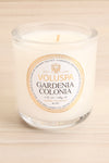 Classic Candle Gardenia Colonia | La Petite Garçonne Chpt. 2 2