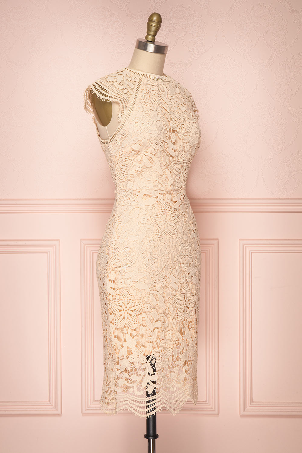 Colihaut Blush Lace Fitted Cocktail Dress | Boutique 1861