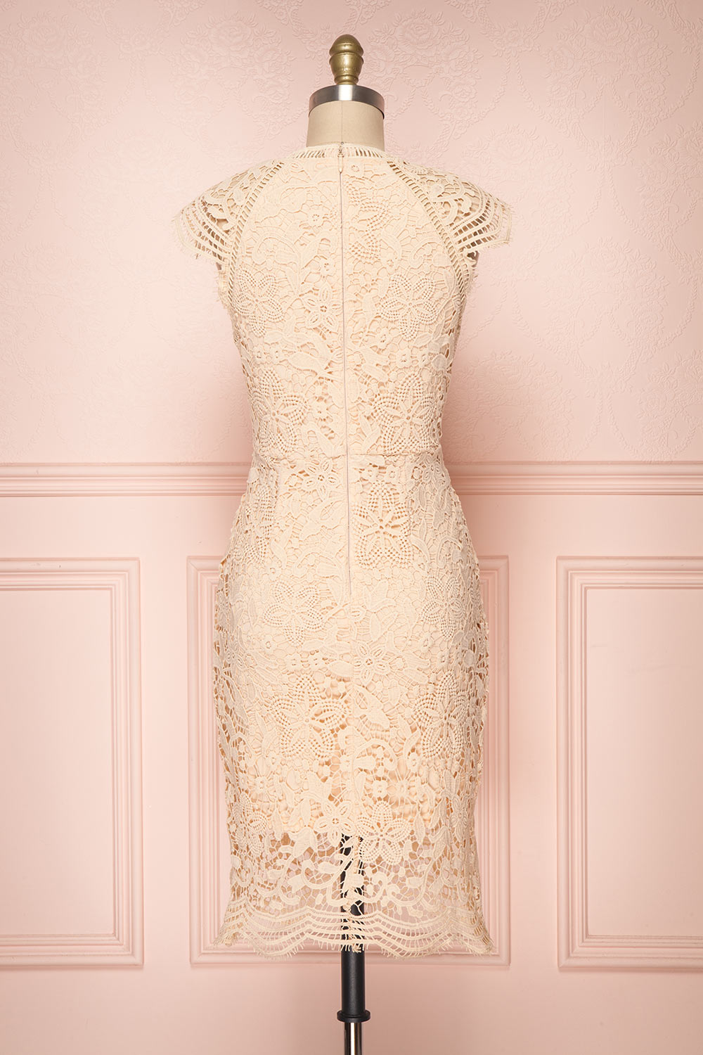 Colihaut Blush Lace Fitted Cocktail Dress | Boutique 1861